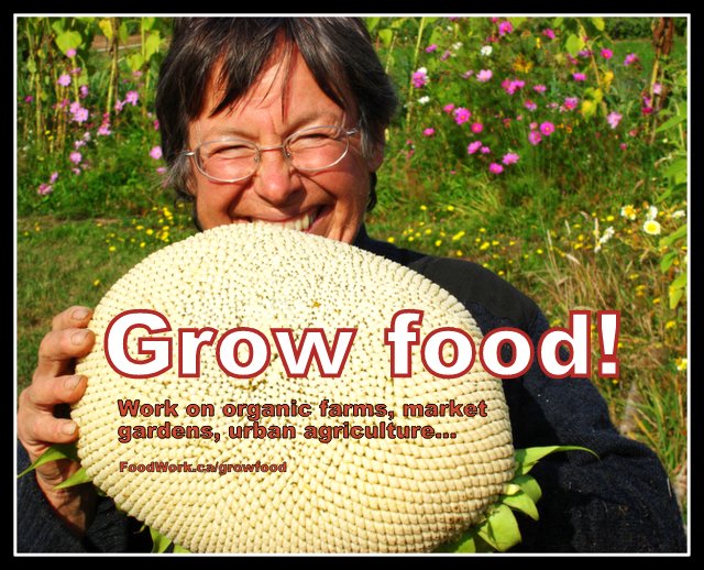 Local food, organic farming, urban agriculture