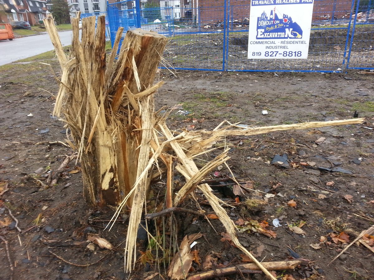 Ottawa tornado: one month&nbsp;later